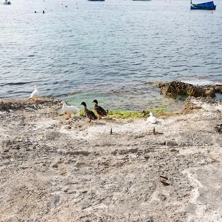 Ne1 - Lovely 2 Bedroom Apartment. Perfect Location Mellieħa