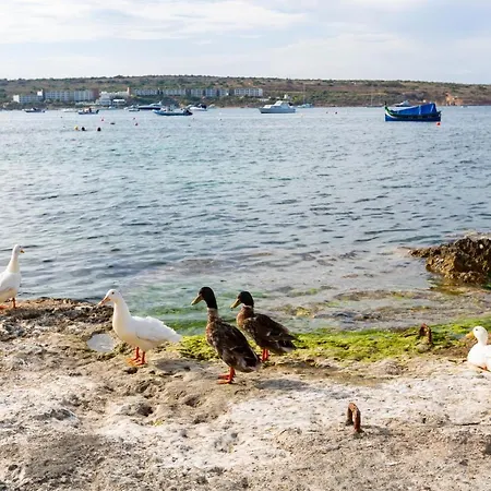 Ne1 - Lovely 2 Bedroom Apartment. Perfect Location Mellieħa