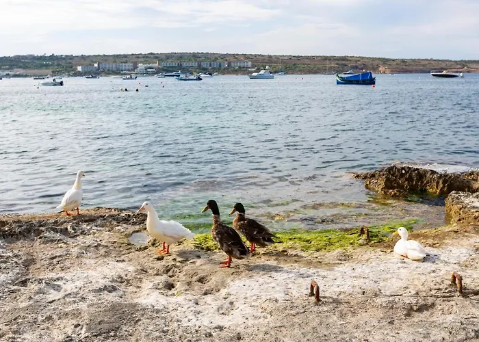 Ne1 - Lovely 2 Bedroom Apartment. Perfect Location Mellieha